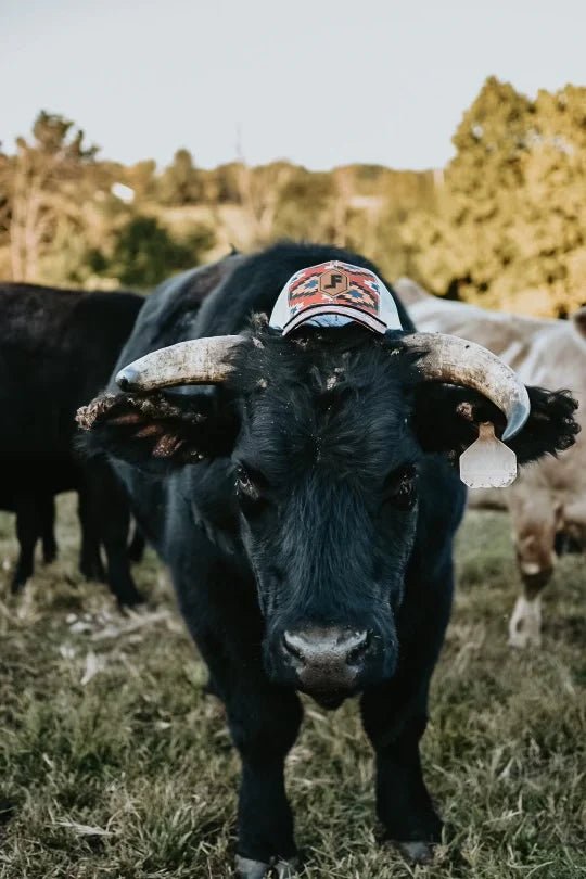 Discover Lane Frost Brand - Diamondback Quality Lane Frost Hats located at The Revival.