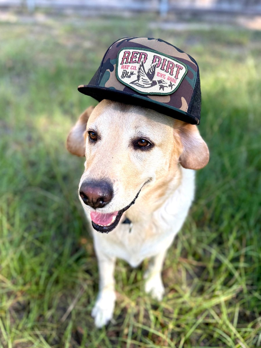 Discover Red Dirt Hat Co. Fly South - Camo, Black Quality Red Dirt Hat Co. Hats located at The Revival.